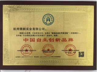 中国自主创新品牌
